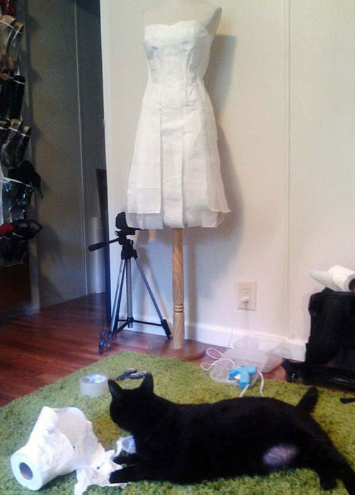 美???, ???? ?? 11?? ????? ??