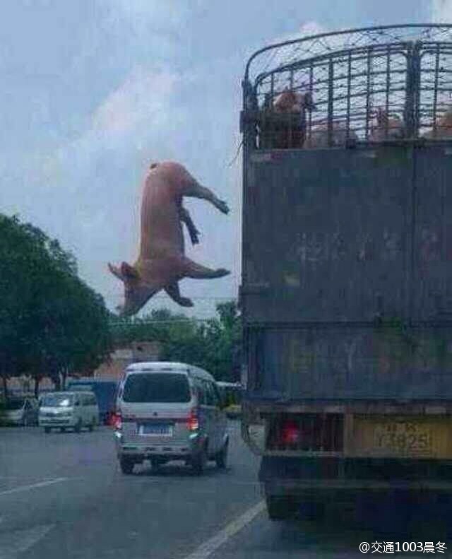 ??? ??? “??? ??? ??? ??? ??!”