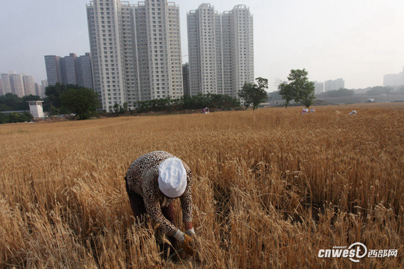 ??? ? ? ??? ???…??? ?? ??