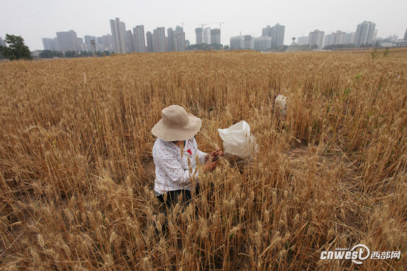 ??? ? ? ??? ???…??? ?? ??