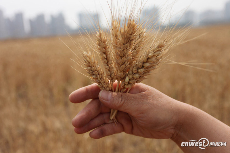 ??? ? ? ??? ???…??? ?? ??