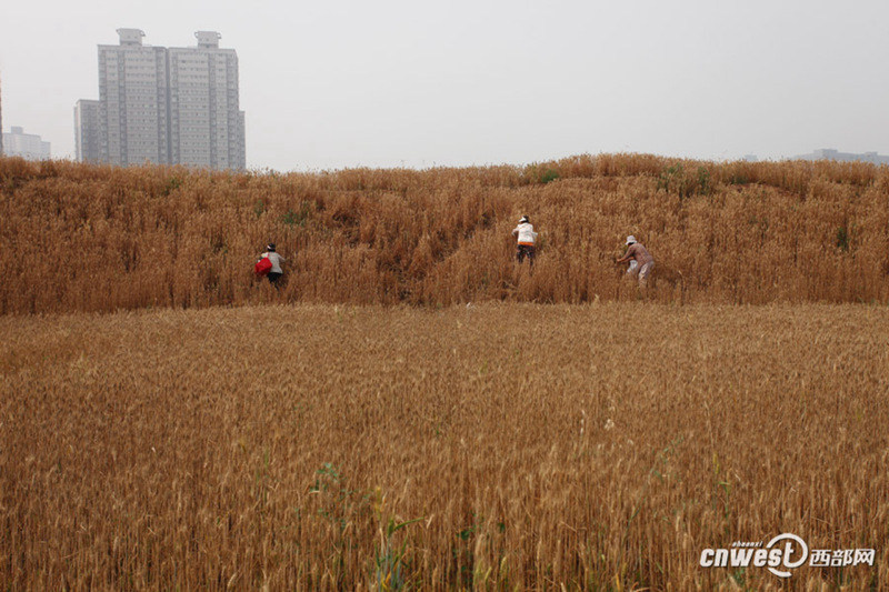 ??? ? ? ??? ???…??? ?? ??