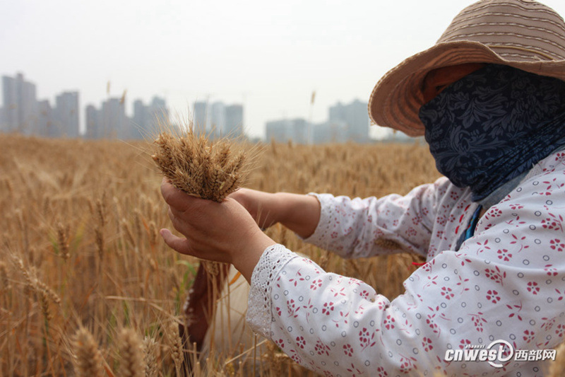 ??? ? ? ??? ???…??? ?? ??