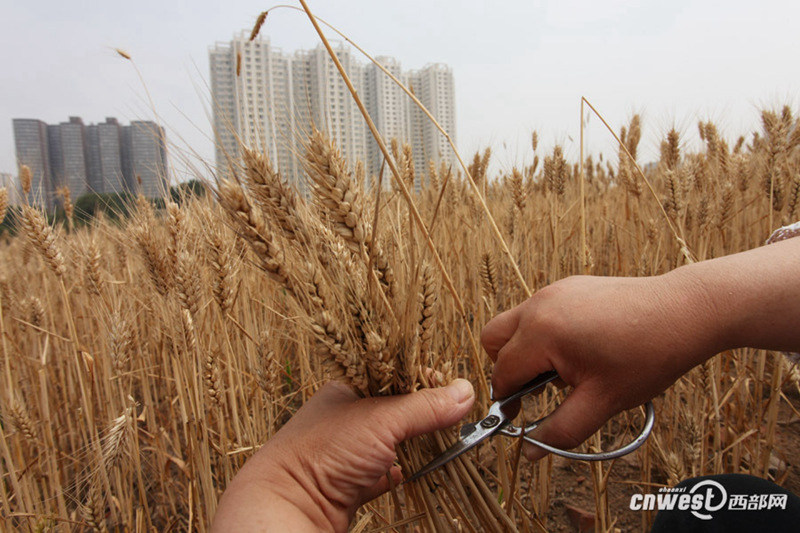 ??? ? ? ??? ???…??? ?? ??