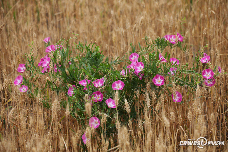 ??? ? ? ??? ???…??? ?? ??