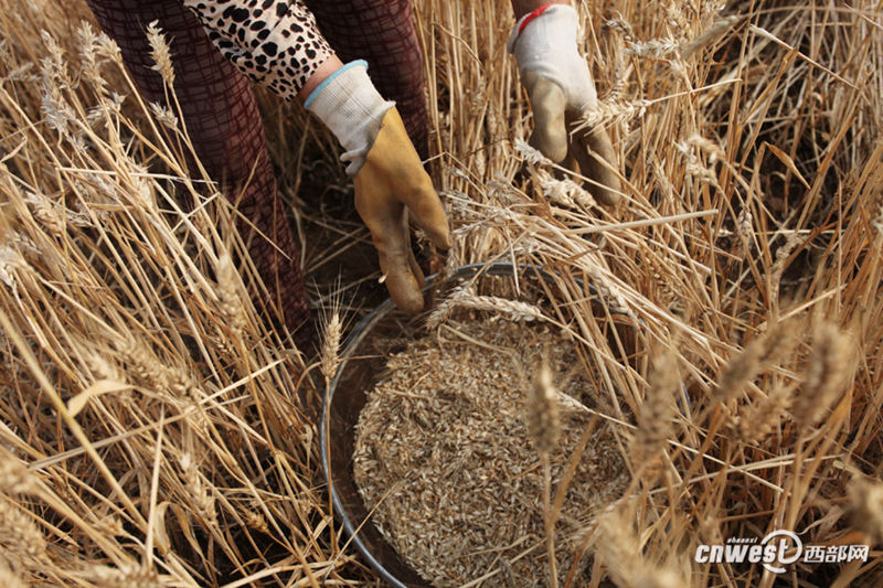 ??? ? ? ??? ???…??? ?? ??