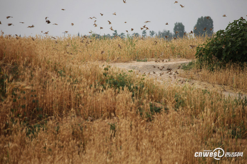 ??? ? ? ??? ???…??? ?? ??