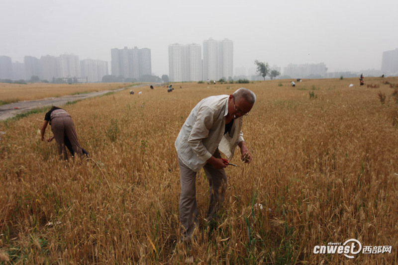 ??? ? ? ??? ???…??? ?? ??