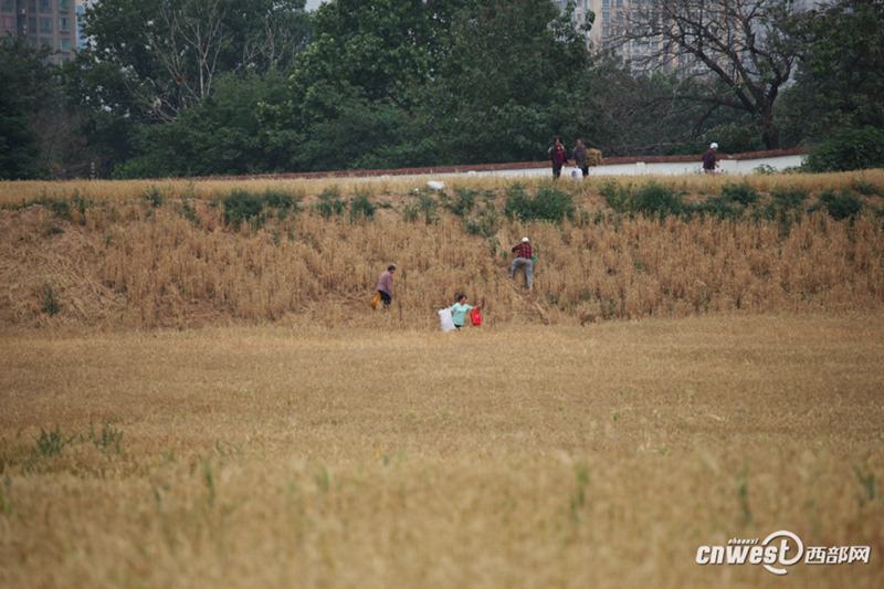 ??? ? ? ??? ???…??? ?? ??