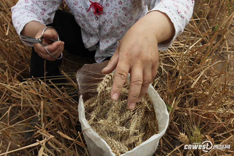 ??? ? ? ??? ???…??? ?? ??