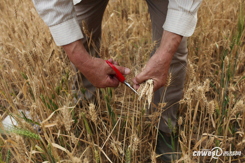 ??? ? ? ??? ???…??? ?? ??