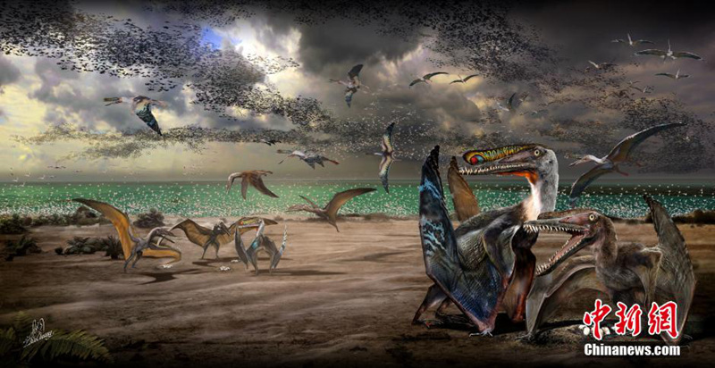 ??? ? ?? ?? ??? ? ?? ?? ?? ??