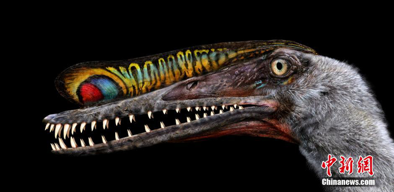 ??? ? ?? ?? ??? ? ?? ?? ?? ??