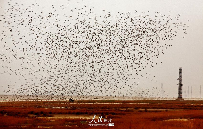 ?? ??? ???? ???? ??? ???? ??