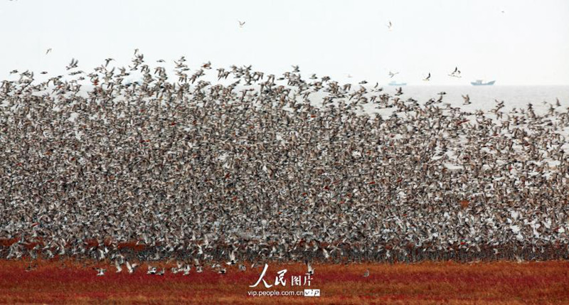 ?? ??? ???? ???? ??? ???? ??