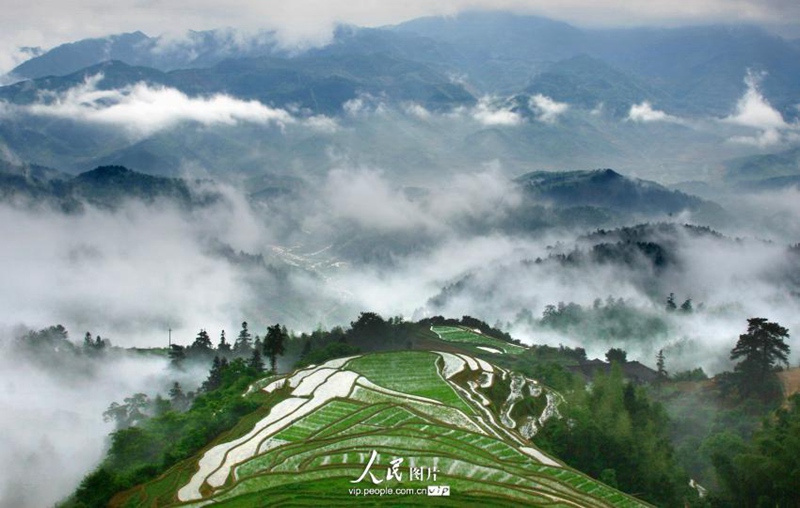 ?? ?? ? ??…?? ‘?????’? ??? ?? ??