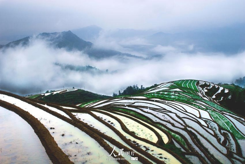 ?? ?? ? ??…?? ‘?????’? ??? ?? ??