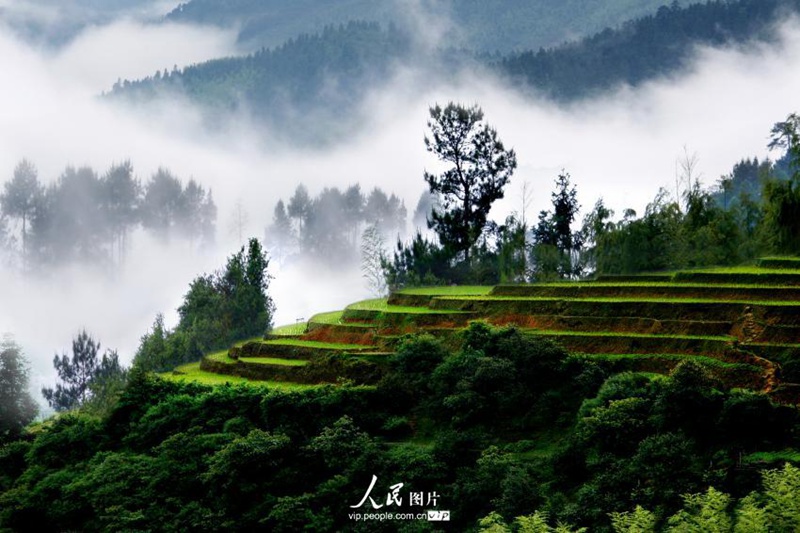 ?? ?? ? ??…?? ‘?????’? ??? ?? ??