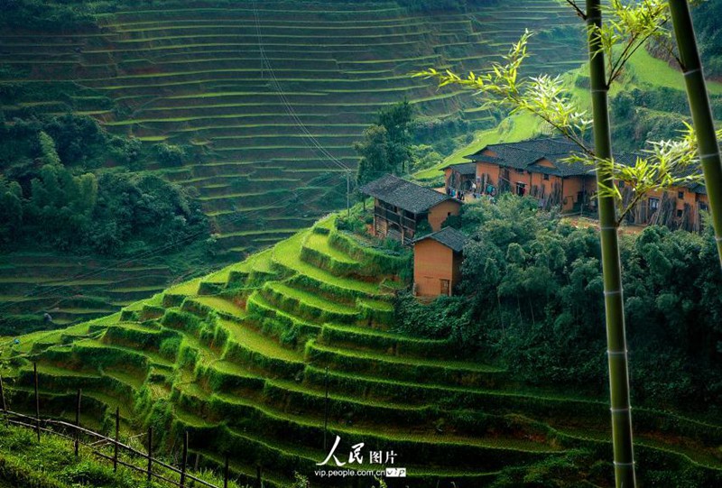 ?? ?? ? ??…?? ‘?????’? ??? ?? ??