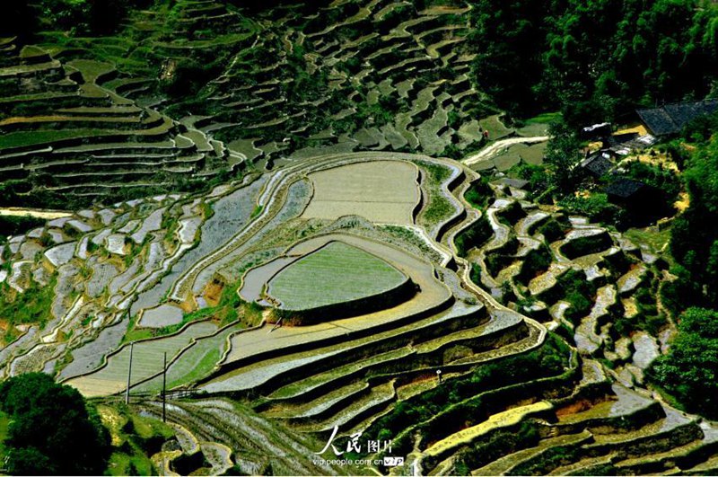 ?? ?? ? ??…?? ‘?????’? ??? ?? ??