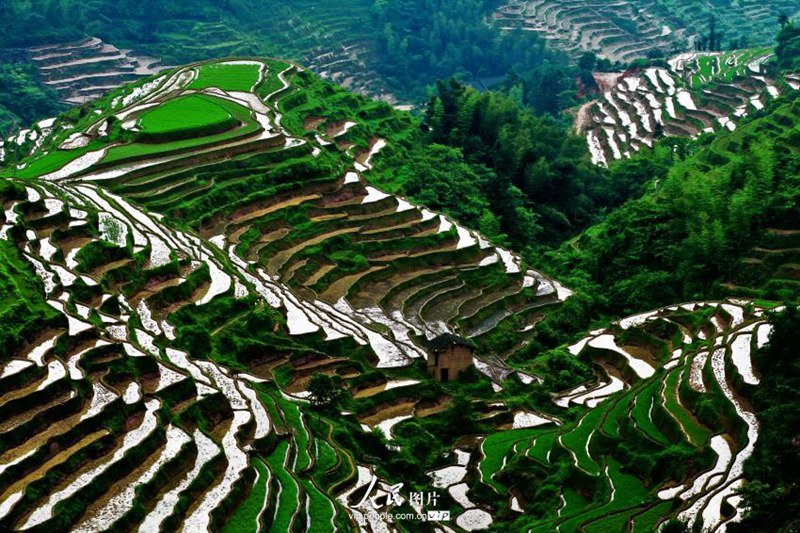 ?? ?? ? ??…?? ‘?????’? ??? ?? ??