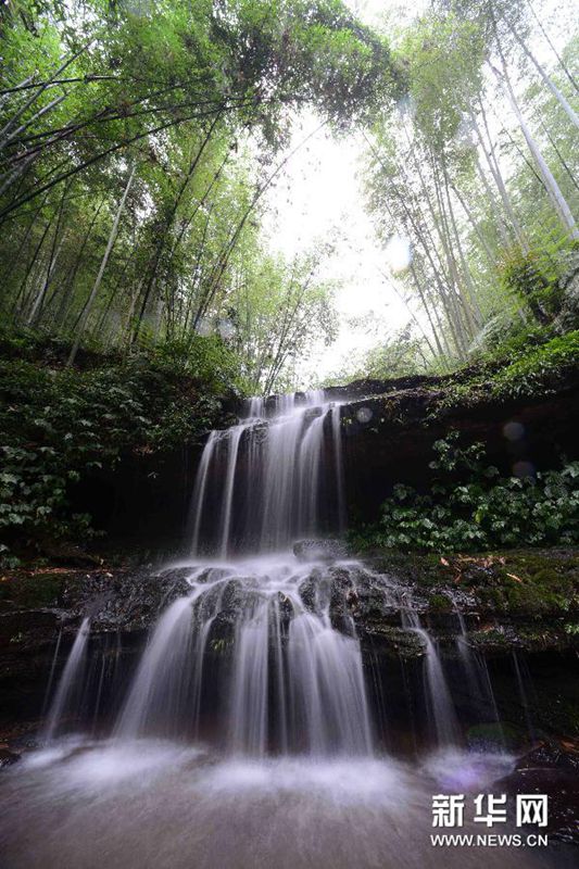 ?? ‘?????’ ??? ??…??? ? ???