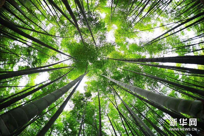 ?? ‘?????’ ??? ??…??? ? ???