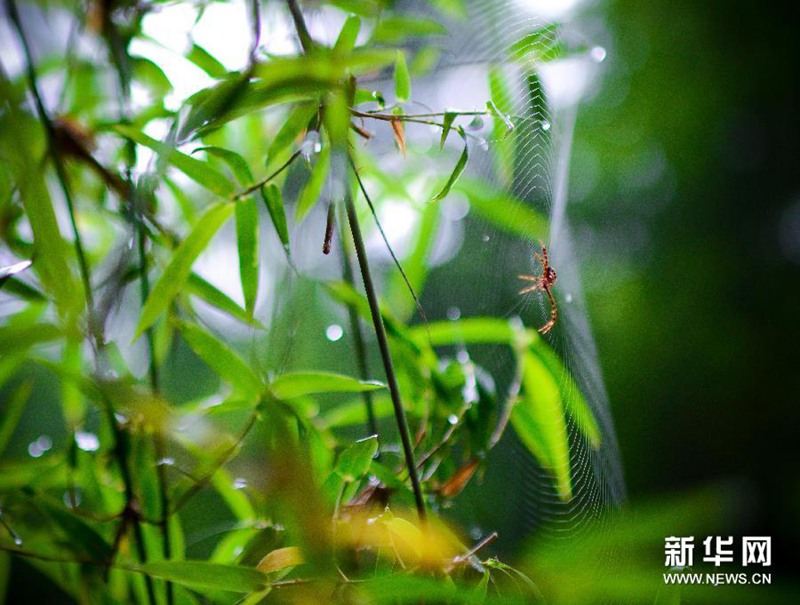 ?? ‘?????’ ??? ??…??? ? ???