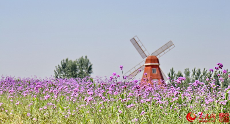 ??(洛陽)? ??? ?? ??- ???? ?? ???