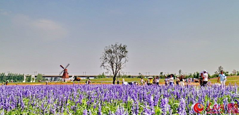 ??(洛陽)? ??? ?? ??- ???? ?? ???