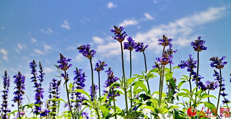 ??(洛陽)? ??? ?? ??- ???? ?? ???