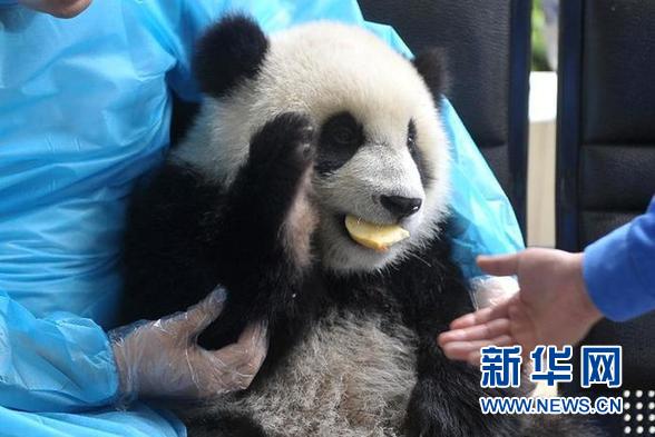 ???? ?? ‘?? ???’? ?? ????