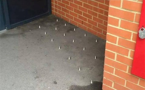 ?? ? ?? ?? ??? ?? ?? ?? ???