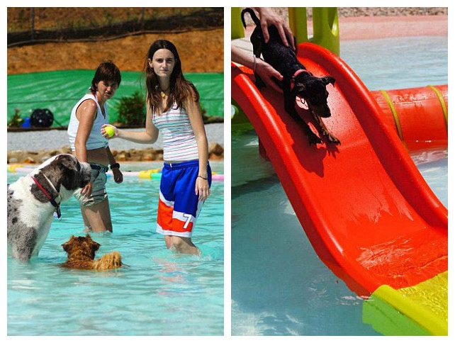 ???? ??? ?? ??? ??, 5?? ?? ??