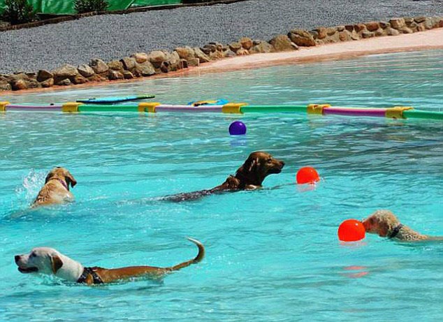 ???? ??? ?? ??? ??, 5?? ?? ??