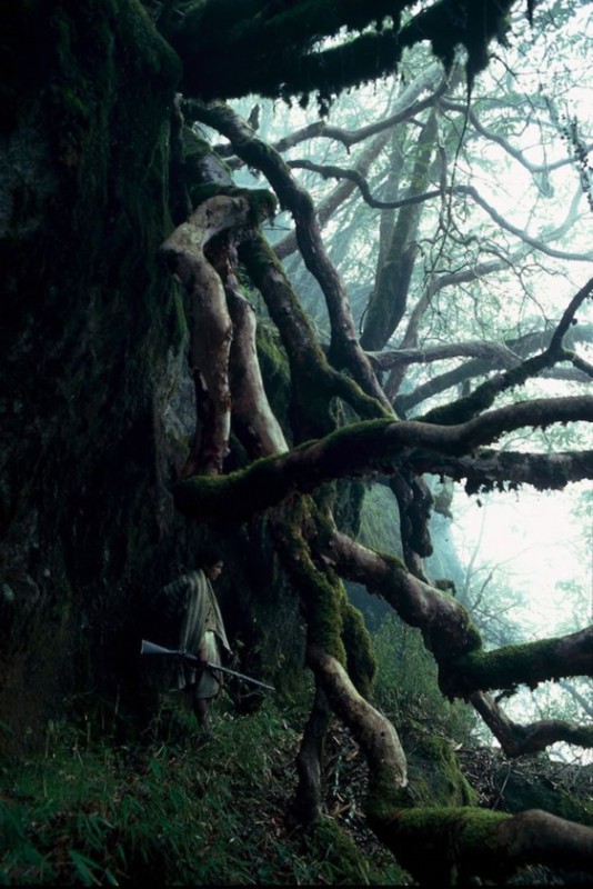 ???? ????? ??, ??? ?? ??