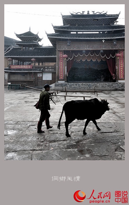 ?? ??? ??? ????…???? ????