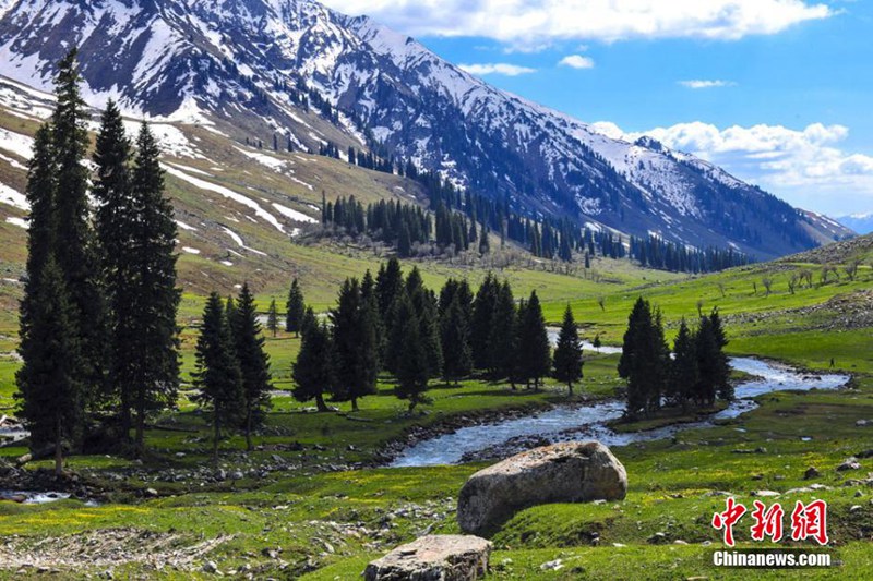 ??? ??? ???? ?? ???(唐布拉)???