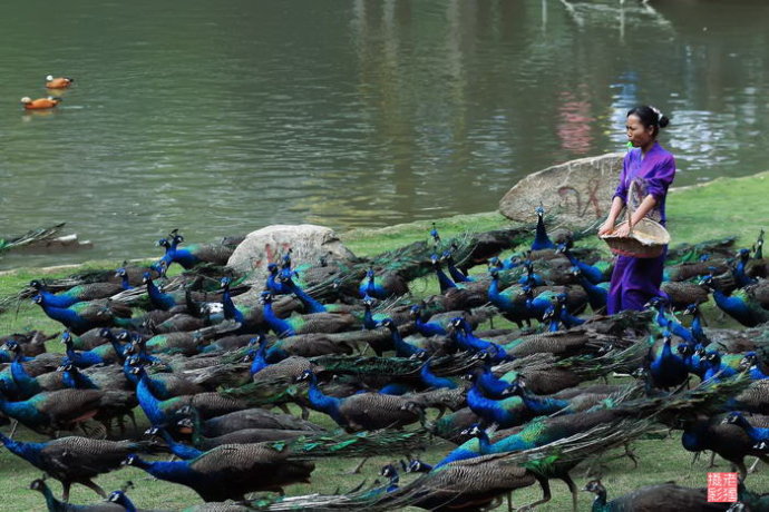 ??????? ??? ?? TOP5(???? ??? ??)