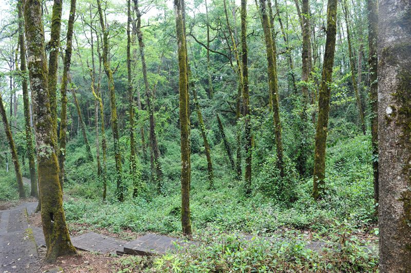 ??(騰沖)? ?? ?? ?? '????(來鳳山)??????' 