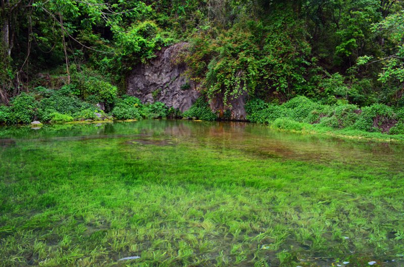 ??(騰沖)? ?? ?? ?? '????(黑魚河)'