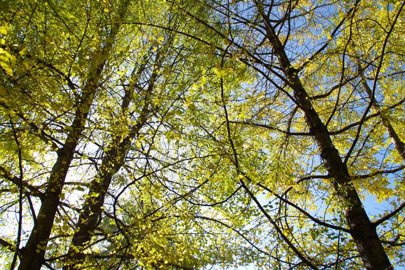 ???? '??(騰沖)', ?? ?? ??? ?? ??? ??