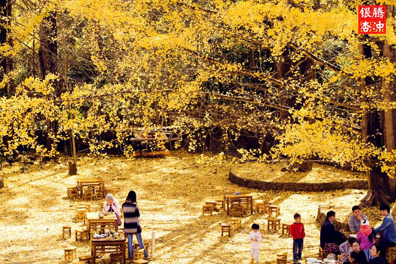 ??(騰沖) ??? ????? '?? ??? ?? ???'