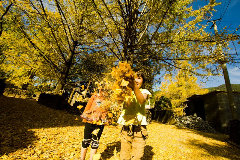 ??(騰沖) ??? ????? '?? ??? ?? ???'