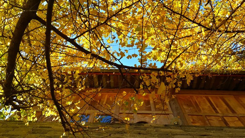 ??(騰沖) ??? ????? '?? ??? ?? ???'