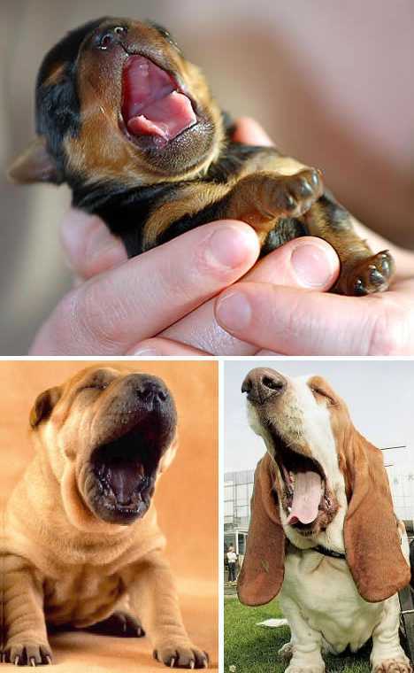 ??? ??? ???? “?? ??????”