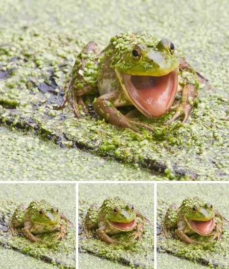 ??? ??? ???? “?? ??????”