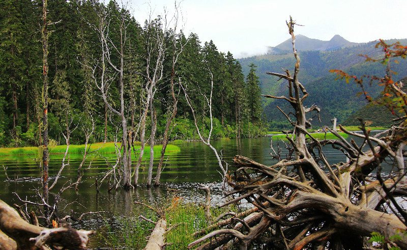 ???? ??? ????? ‘???(普達措)?????? ??’