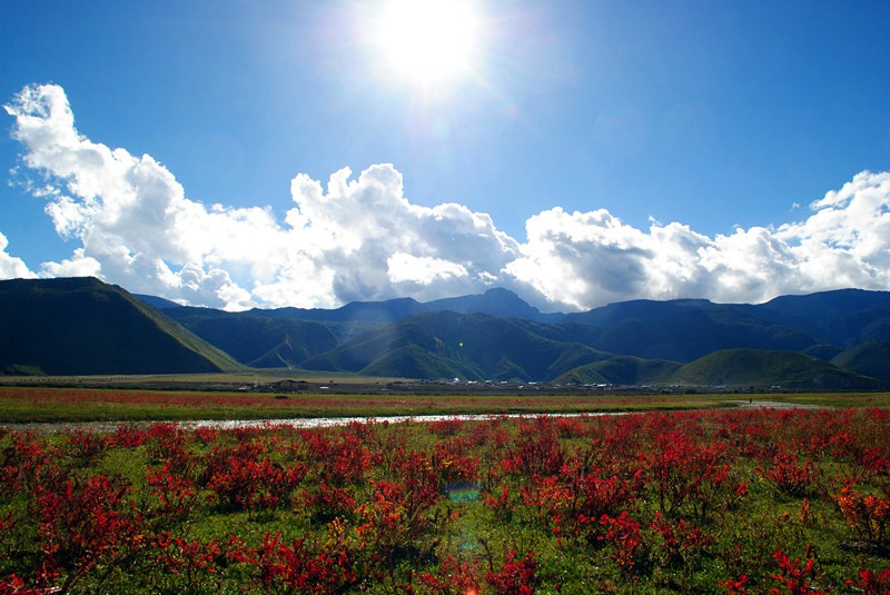 ????? ?? ???? ???, ????(納帕海)