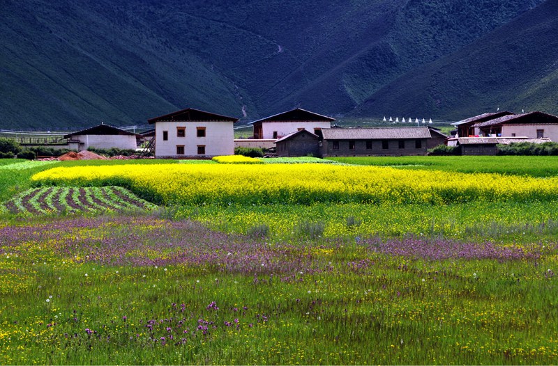 ????? ?? ???? ???, ????(納帕海)